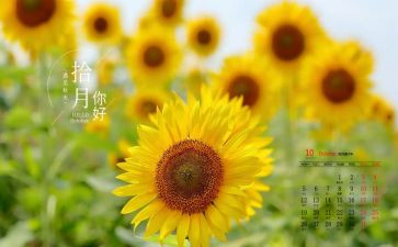 销售10月工作总结7篇