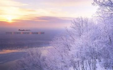 12月活动总结6篇