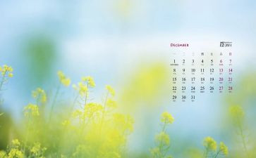 12月行政工作总结5篇