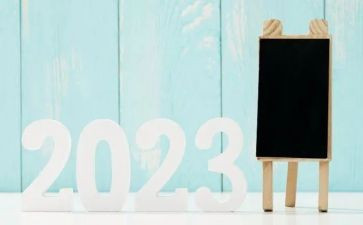 2023师德师风心得体会通用6篇
