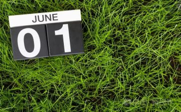 6月份销售工作总结5篇