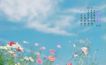 6月份的工作计划7篇