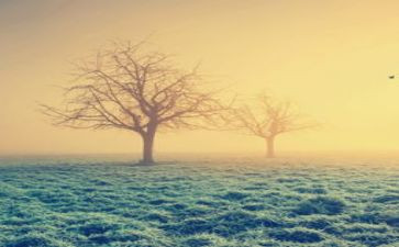 8月的工作总结推荐7篇