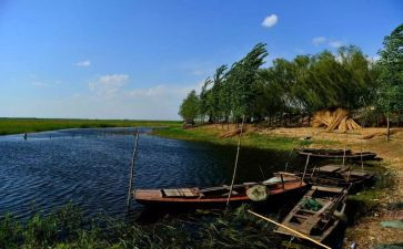 白洋淀纪事的读后感5篇