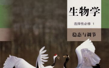 八上生物教师工作总结模板7篇