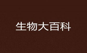 生物备课组学期工作总结6篇