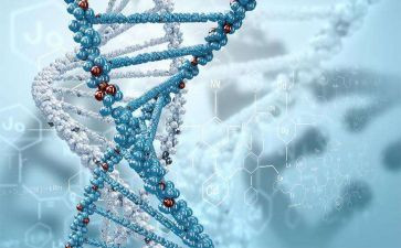 生物组学期工作计划6篇