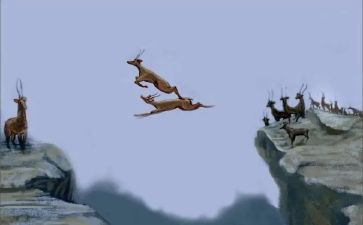 《斑羚飞渡》读后感500字8篇