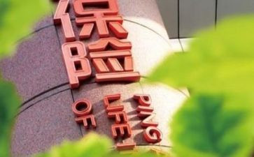 保险公司个人年终工作总结个人通用7篇