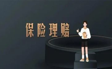 保险公司个人半年总结6篇
