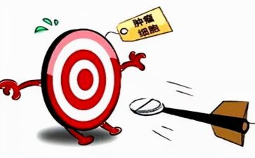 靶向式培训心得体会精选7篇