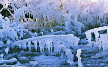 幼儿园大班科学冰教案优秀7篇