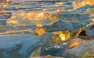 冰心的心得体会7篇