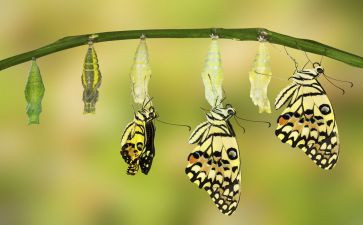 不一样的他教案6篇