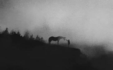 我不一样作文800字8篇