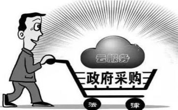 新采购个人工作总结5篇