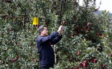 2024年房产销售经理工作总结5篇