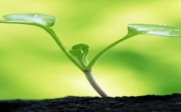 成长作文600字作文推荐5篇