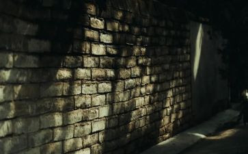 《城南旧事》心得模板7篇