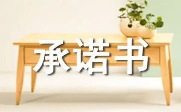 供货商安全承诺书8篇