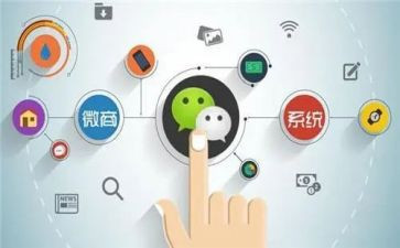 程序员的心得7篇