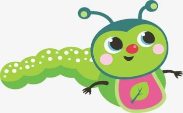 昆虫的教学反思5篇
