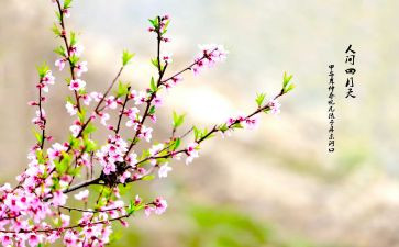 关于对春节的作文最新7篇