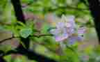 写写春的作文5篇
