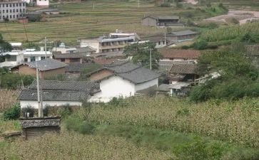 村上半年的工作总结8篇