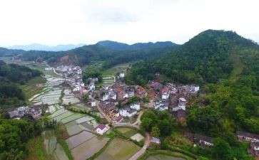 村年终工作总结及计划精选5篇