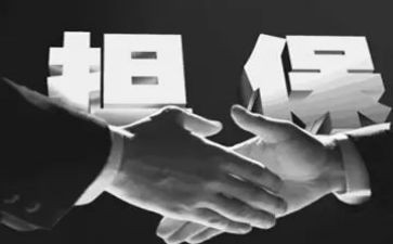 银行担保借款合同6篇