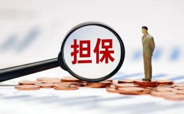 个人购房担保借款合同7篇