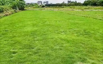地板砖采购合同5篇