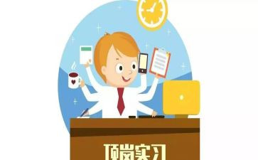 工作顶岗实习心得体会8篇