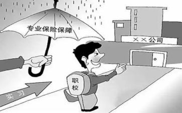 2024年顶岗个人总结范文7篇