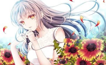 动漫活动总结7篇