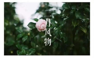 十二月个人工作总结5篇