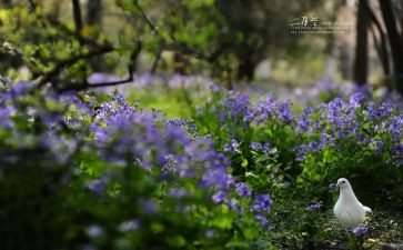 二月个人总结6篇