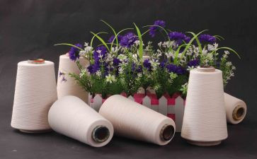 2024纺织厂年终总结6篇