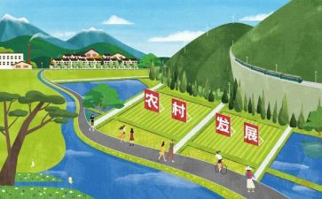大学生职业发展与就业心得7篇