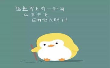 化肥农药合同5篇