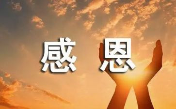 感恩老师的演讲稿300字6篇