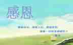 感恩节的演讲稿1000字5篇