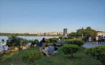 去公园作文300字7篇