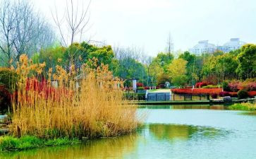 公园里中班教案5篇