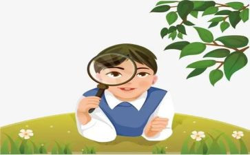 观察类作文参考8篇