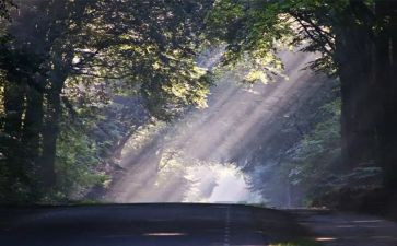 幼儿园大班光和影教案通用5篇