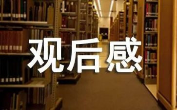 交通安全教育片观后感5篇