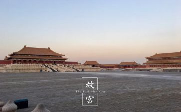 11故宫博物院教案5篇