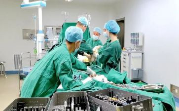 骨科护士心得体会优质5篇